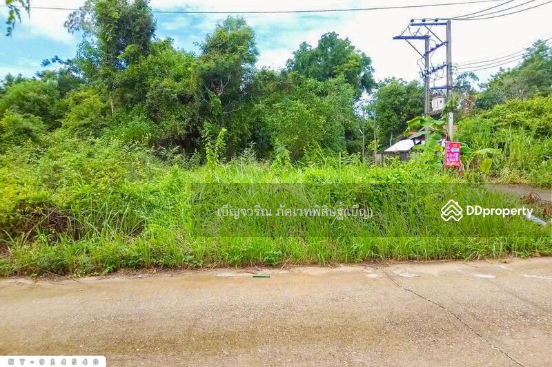 For Sale - NY-914540 Land in Mueang Sa Kaeo District, 98 sq wah, Sa Kaeo, Sa Kaeo