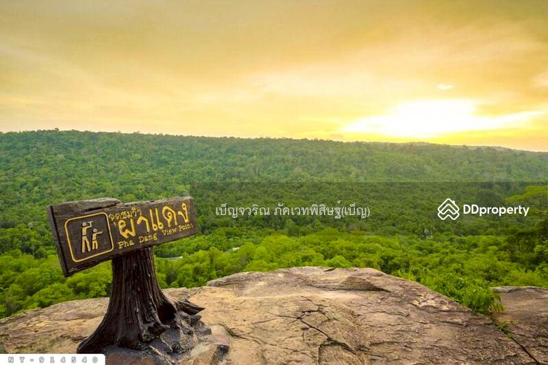 For Sale - NY-914540 Land in Mueang Sa Kaeo District, 98 sq wah, Sa Kaeo, Sa Kaeo