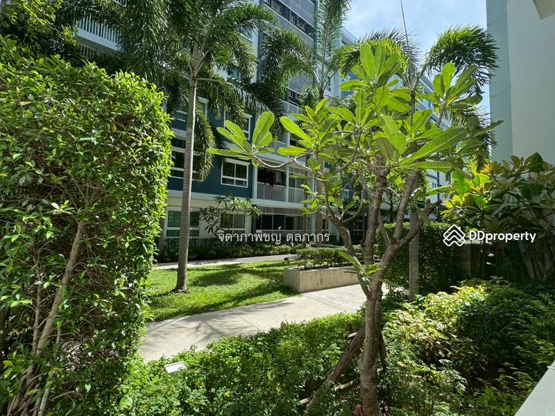 For Sale - The Trust Hua Hin, Prachuap Khiri Khan