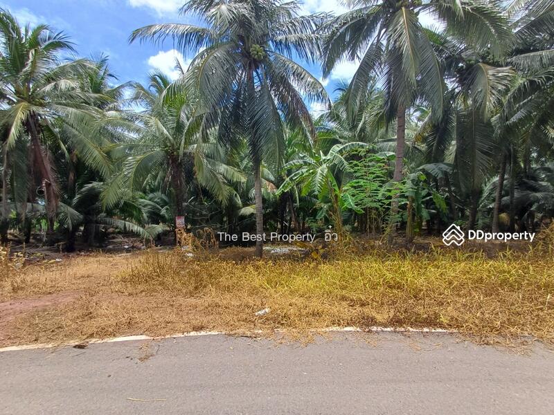 For Sale - ที่ดินวัดเพลง ราชบุรี, Ratchaburi
