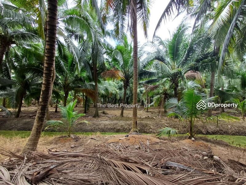 For Sale - ที่ดินวัดเพลง ราชบุรี, Ratchaburi