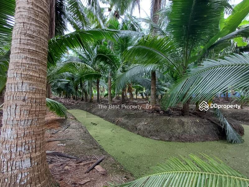 For Sale - ที่ดินวัดเพลง ราชบุรี, Ratchaburi