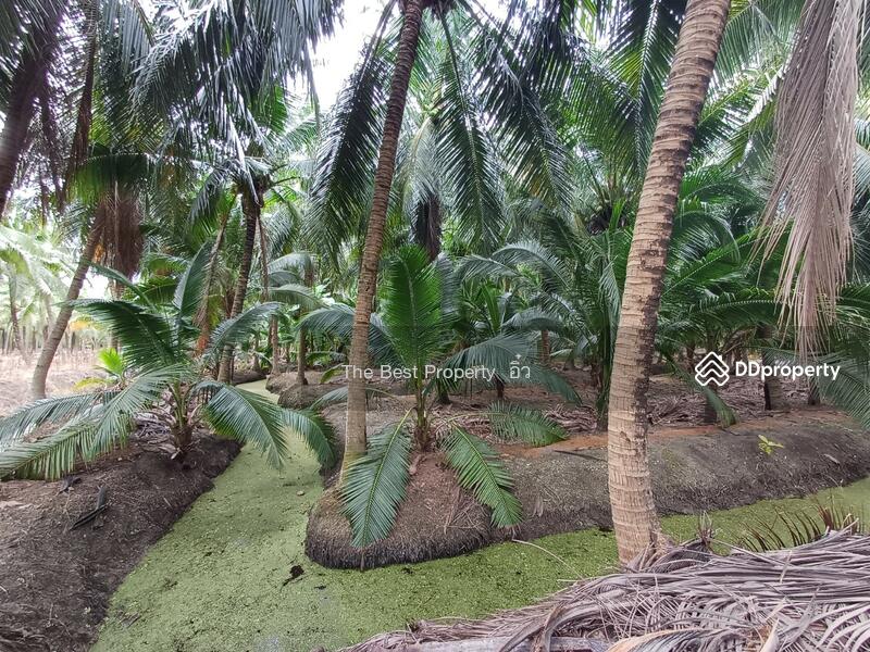 For Sale - ที่ดินวัดเพลง ราชบุรี, Ratchaburi
