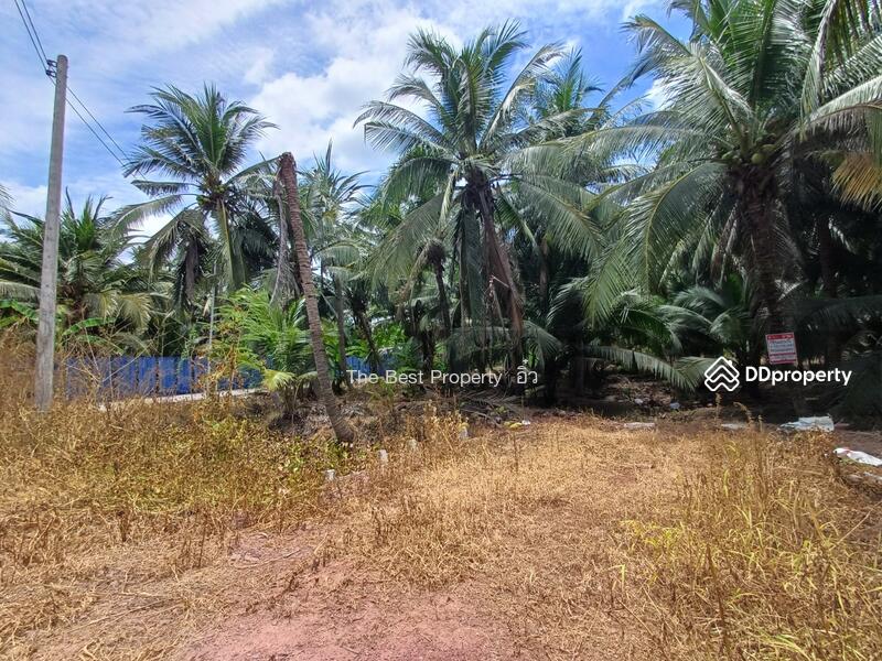 For Sale - ที่ดินวัดเพลง ราชบุรี, Ratchaburi