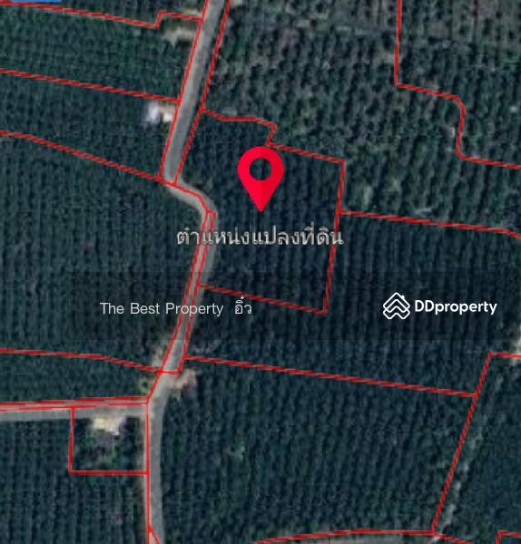 For Sale - ที่ดินวัดเพลง ราชบุรี, Ratchaburi