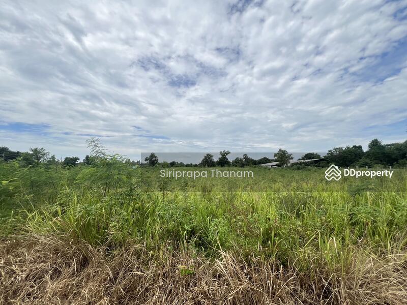 For Sale - Urgent Sale, Good Price, Land for Sale 16 Rai, Chon Buri