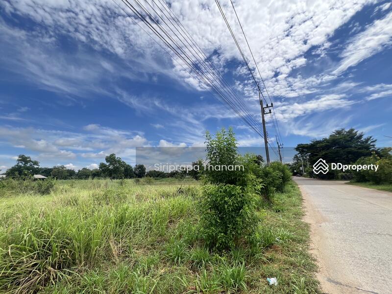 For Sale - Urgent Sale, Good Price, Land for Sale 16 Rai, Chon Buri