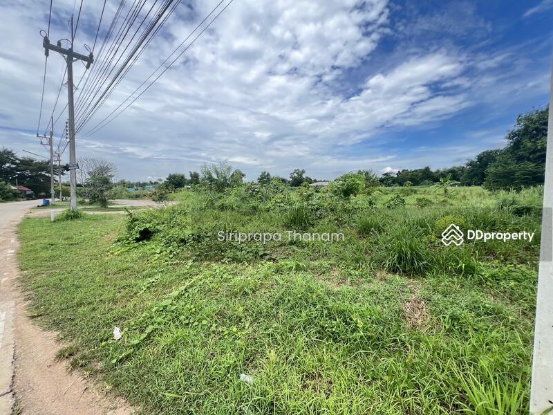 For Sale - Urgent Sale, Good Price, Land for Sale 16 Rai, Chon Buri