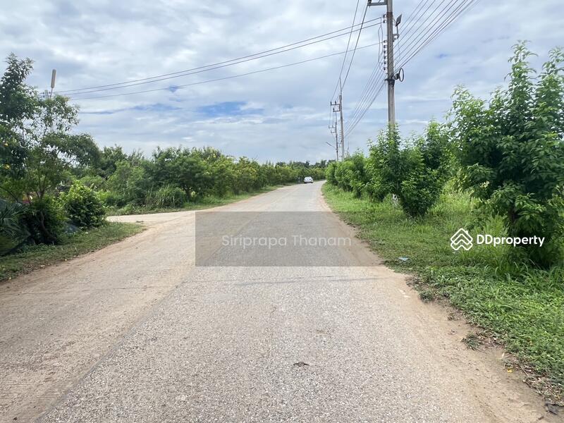 For Sale - Urgent Sale, Good Price, Land for Sale 16 Rai, Chon Buri