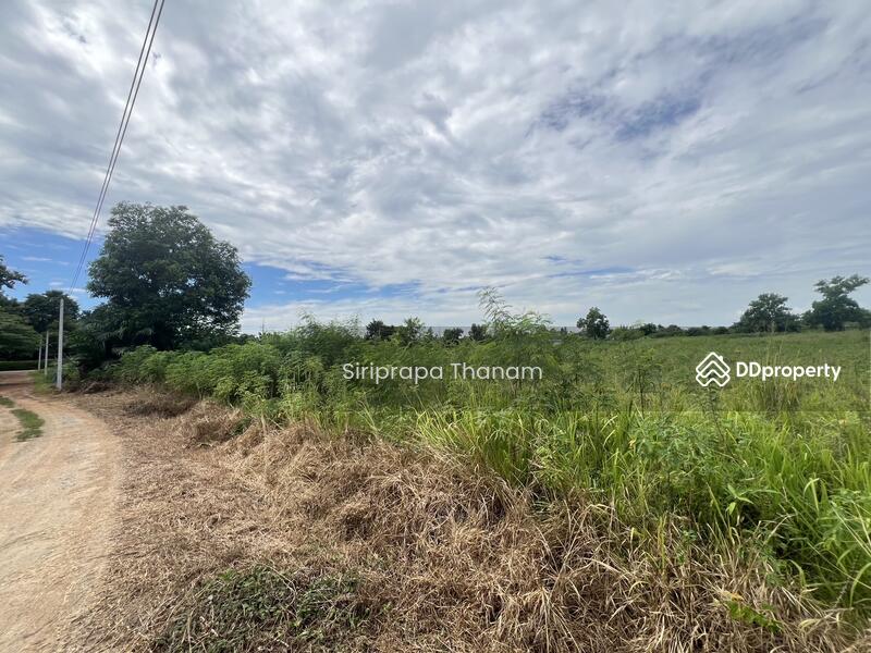 For Sale - Urgent Sale, Good Price, Land for Sale 16 Rai, Chon Buri