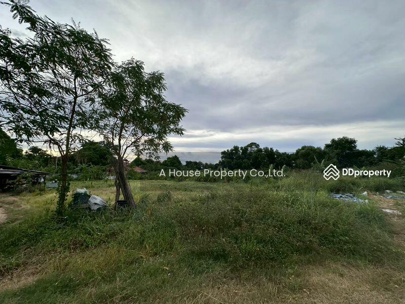 For Sale - Beautiful plot of vacant land for sale in Rong Po, Bang Lamung District, Chon Buri
