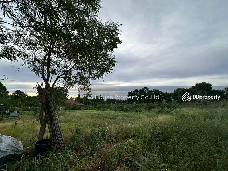 For Sale - Beautiful plot of vacant land for sale in Rong Po, Bang Lamung District, Chon Buri