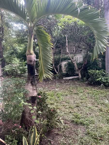 Perfect Park Suvannabhumi Phase 2 : เพอร์เฟค พาร์ค สุวรรณภูมิ เฟส 2, กรุงเทพ, มีนบุรี, กรุงเทพ, 244 ตร.ม., บ้านเดี่ยว ขาย, โดย Connex Property, 60124995 - DDproperty.com