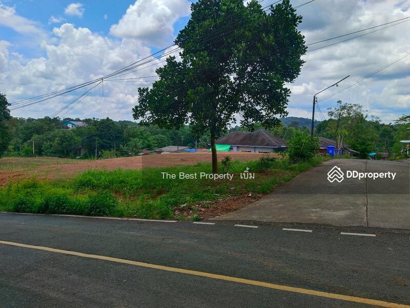 ขาย - ที่ดินบ่อไร่ ตราด, ตราด