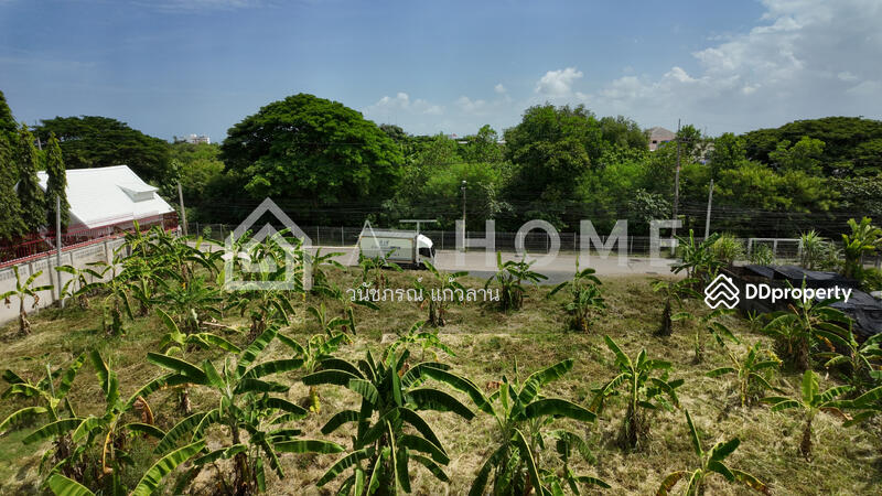 ขาย - Baan Somprasong : บ้านสมประสงค์, ชลบุรี