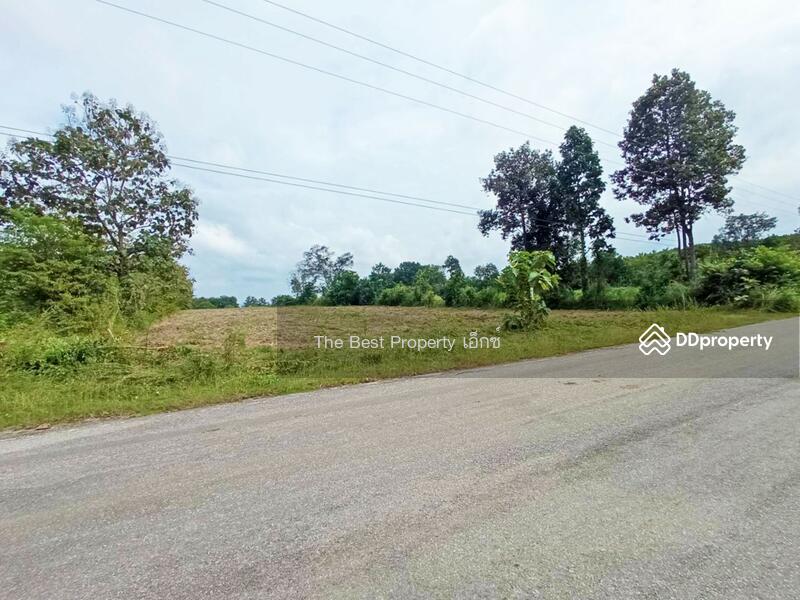 ขาย - ที่ดินนิคมพัฒนา ลำปาง, ลำปาง