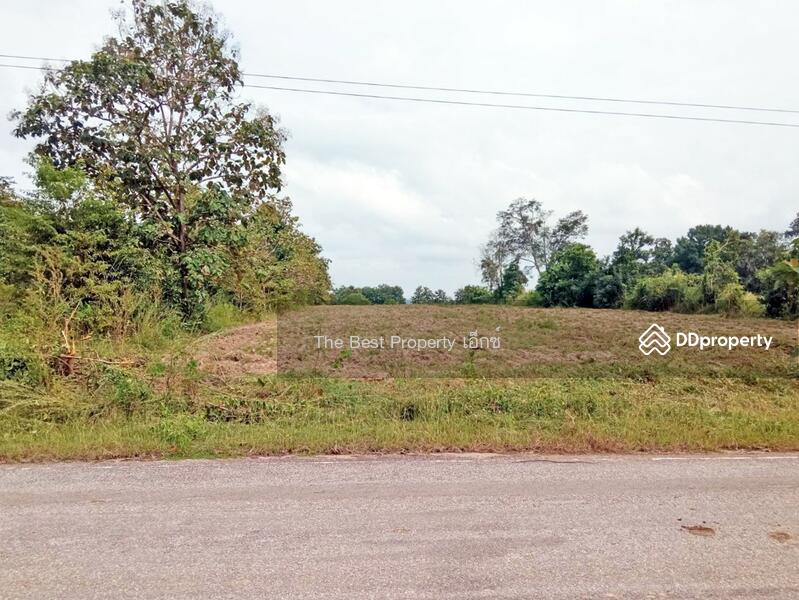 ขาย - ที่ดินนิคมพัฒนา ลำปาง, ลำปาง