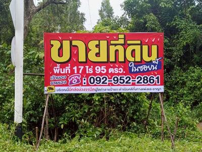 ขาย - ขายที่ดิน ติดแม่น้ำ ทั้งแปลง 17 ไร่ ขาย 2.5 ล้านบาทเท่านั้น, ปราจีนบุรี