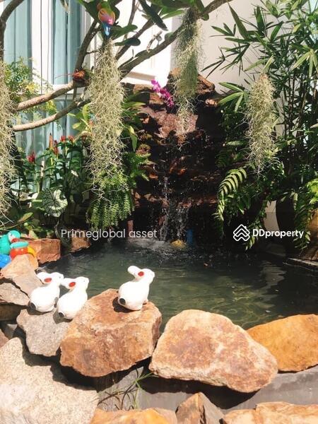ให้เช่า - Supicha Sino Kohkaew, ภูเก็ต