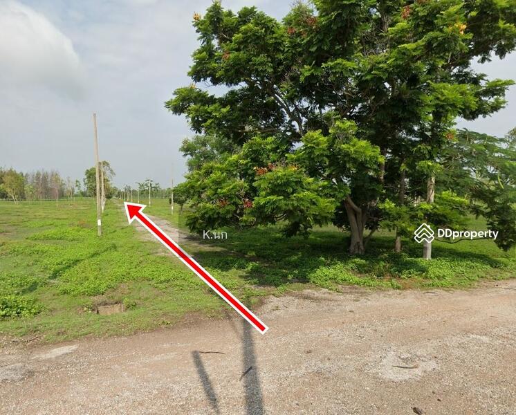 ขาย - ขายที่ดิน, เพชรบุรี
