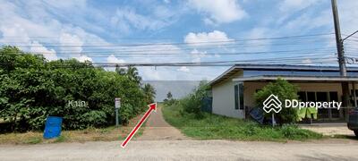 ขาย - ขายที่ดิน ถมแล้ว 319 ตรว. คลอง 8 ตะวันออก ต.บึงชำอ้อ อ.หนองเสือ จ.ปทุมธานี 0892049369คุณนก, ปทุมธานี