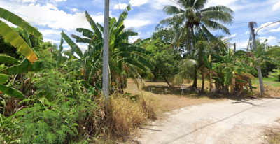 ขาย - ขายที่ดิน เท่าราคาประเมิน ทำเลดี ห่างจาก ถนนหลัก HWY 1008 สารภี เชียงใหม่, เชียงใหม่