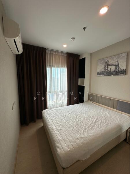 The Tree Sukhumvit 71-Ekamai, Bangkok, 1269 Sukhumvit 71 Road, Suan Luang, Bangkok, 1 Bedroom, 31 sqm, Condo For Rent, by Caveman Property, 60127205 - DDproperty.com