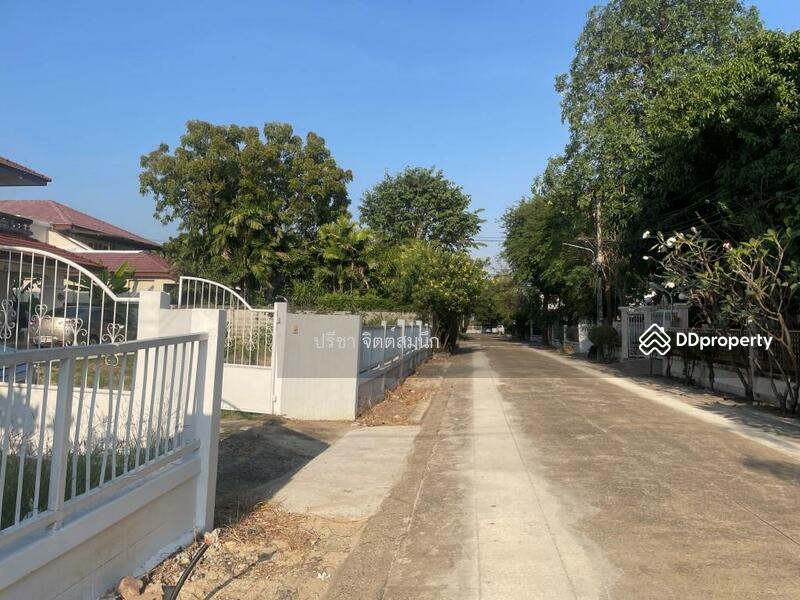 ให้เช่า - Chonlada Bangbuathong : ชลลดา บางบัวทอง, นนทบุรี