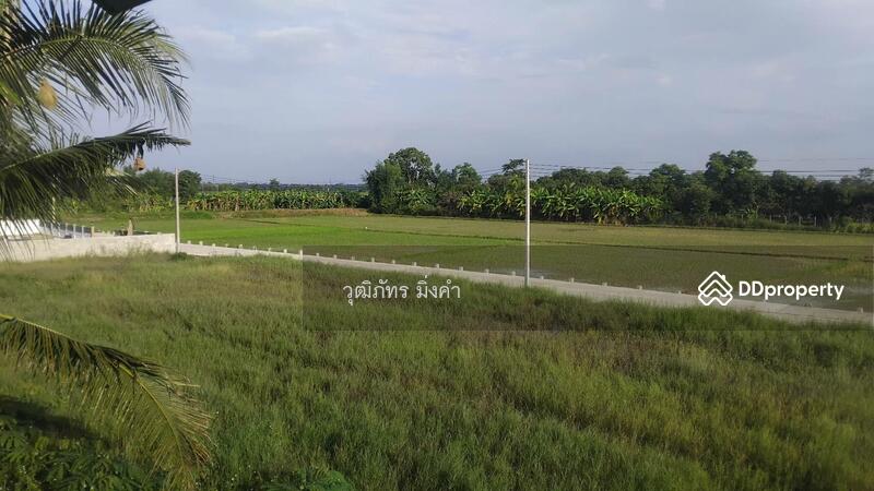 For Rent - Maerim, Chiang Mai