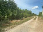ที่ดินบางเลน นครปฐม, นครปฐม