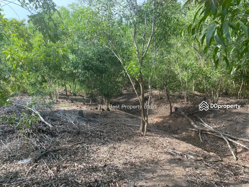 ขาย - ที่ดินบางเลน นครปฐม, นครปฐม
