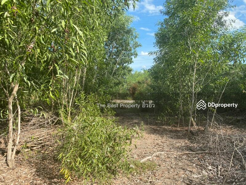 For Sale - ที่ดินบางเลน นครปฐม, Nakhon Pathom