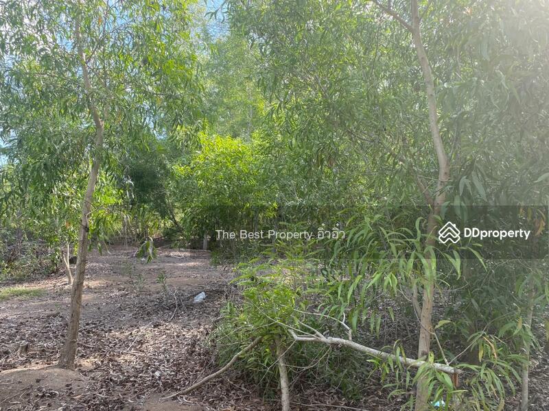 For Sale - ที่ดินบางเลน นครปฐม, Nakhon Pathom