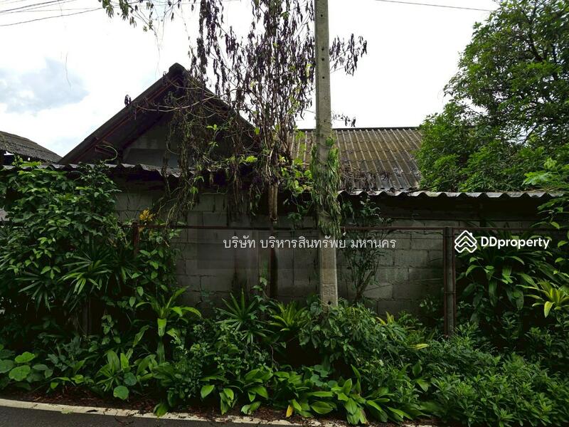 For Sale - Single house in Doisaket Chiangmai, Chiang Mai