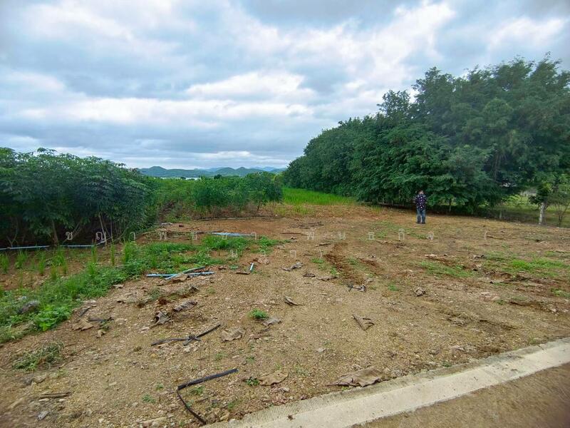 ขาย - ขายที่ดินเปล่า เนื้อที่ 3-1-51.2 ไร่ ใกล้เขื่อนศรีสวัสดิ์ จ.กาญจนบุรี, กาญจนบุรี