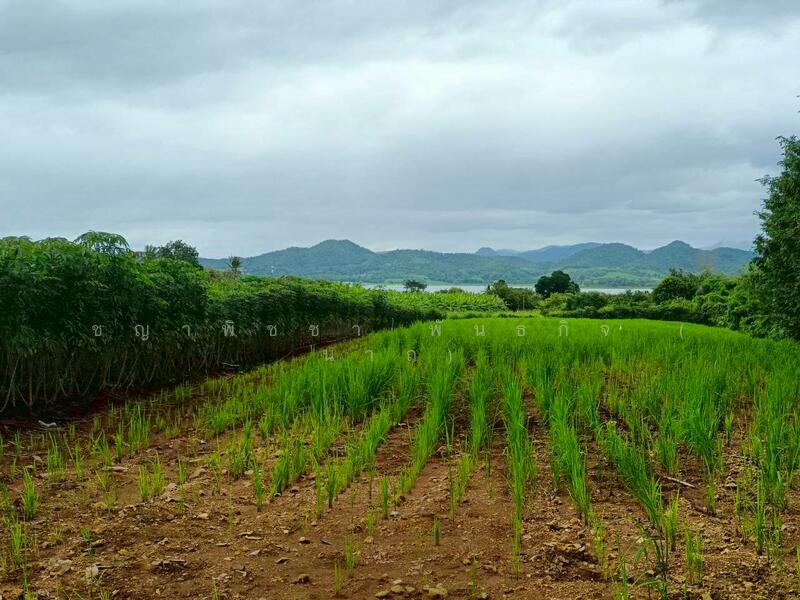 For Sale - ขายที่ดินเปล่า 3-1-51.2 ไร่ ใกล้เขื่อนศรีนครินทร์ - ทำเลธรรมชาติ วิวเขื่อน, Kanchanaburi