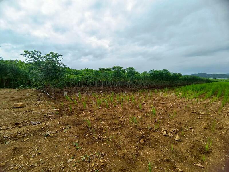 For Sale - ขายที่ดินเปล่า 3-1-51.2 ไร่ ใกล้เขื่อนศรีนครินทร์ - ทำเลธรรมชาติ วิวเขื่อน, Kanchanaburi