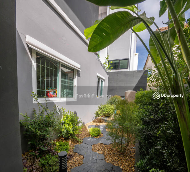 สวนด้านข้างบ้าน