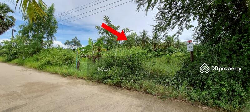For Sale - ขายที่ดิน, Prachuap Khiri Khan