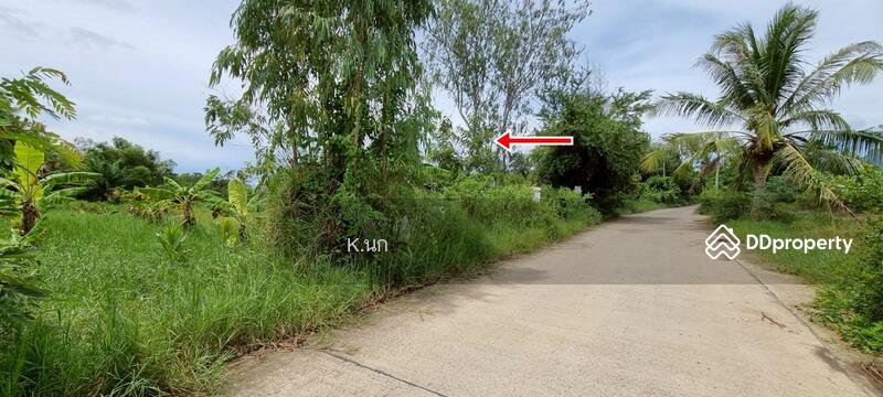 For Sale - ขายที่ดิน, Prachuap Khiri Khan
