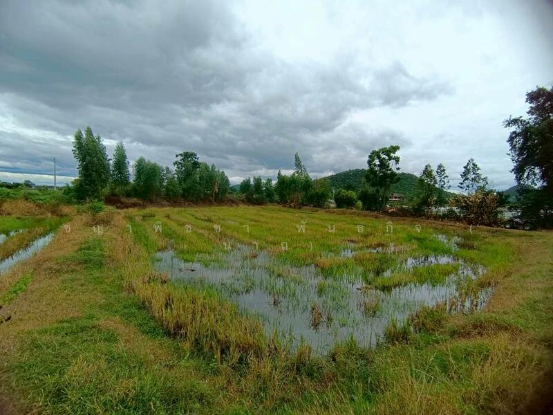 For Sale - ขายที่ดินเปล่า 349 ตร.ว. - ทำเลดี ติดถนนสาธารณะ น้ำ-ไฟพร้อม ต.เขาสามสิบหาบ อ.ท่ามะกา จ.กาญจนบุรี, Kanchanaburi