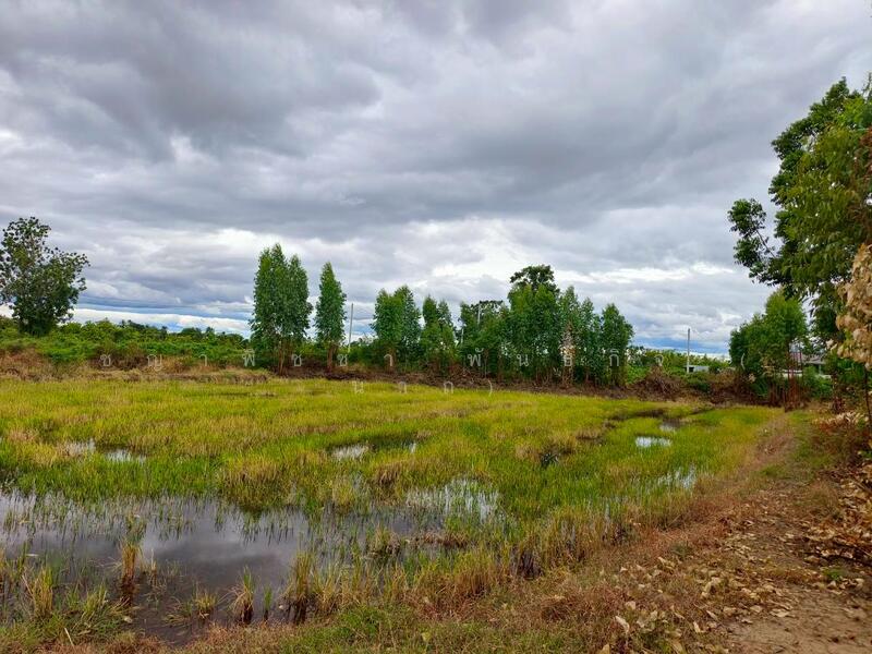 For Sale - ขายที่ดินเปล่า 349 ตร.ว. - ทำเลดี ติดถนนสาธารณะ น้ำ-ไฟพร้อม ต.เขาสามสิบหาบ อ.ท่ามะกา จ.กาญจนบุรี, Kanchanaburi