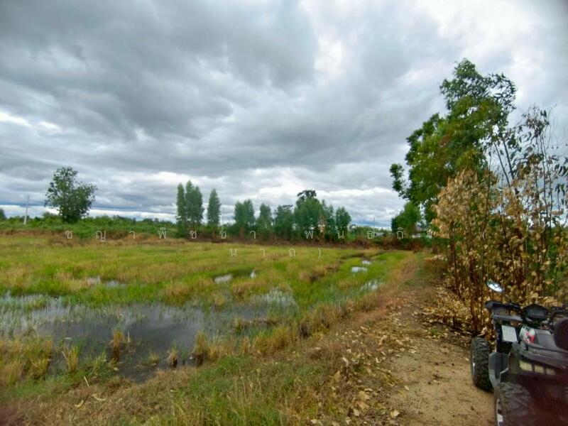 For Sale - ขายที่ดินเปล่า 349 ตร.ว. - ทำเลดี ติดถนนสาธารณะ น้ำ-ไฟพร้อม ต.เขาสามสิบหาบ อ.ท่ามะกา จ.กาญจนบุรี, Kanchanaburi