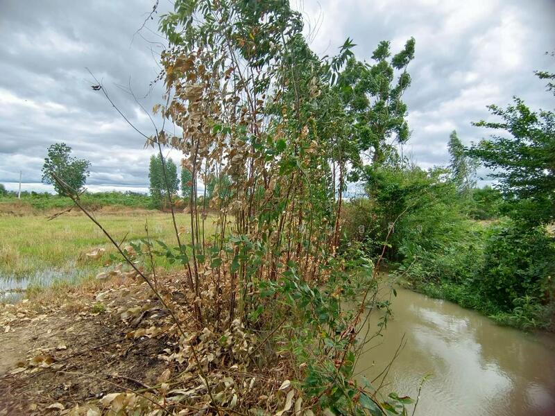 For Sale - ขายที่ดินเปล่า 349 ตร.ว. - ทำเลดี ติดถนนสาธารณะ น้ำ-ไฟพร้อม ต.เขาสามสิบหาบ อ.ท่ามะกา จ.กาญจนบุรี, Kanchanaburi