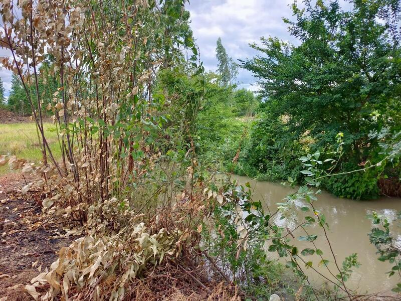 For Sale - ขายที่ดินเปล่า 349 ตร.ว. - ทำเลดี ติดถนนสาธารณะ น้ำ-ไฟพร้อม ต.เขาสามสิบหาบ อ.ท่ามะกา จ.กาญจนบุรี, Kanchanaburi