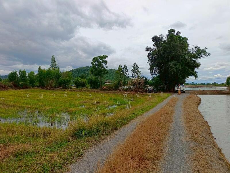 For Sale - ขายที่ดินเปล่า 349 ตร.ว. - ทำเลดี ติดถนนสาธารณะ น้ำ-ไฟพร้อม ต.เขาสามสิบหาบ อ.ท่ามะกา จ.กาญจนบุรี, Kanchanaburi