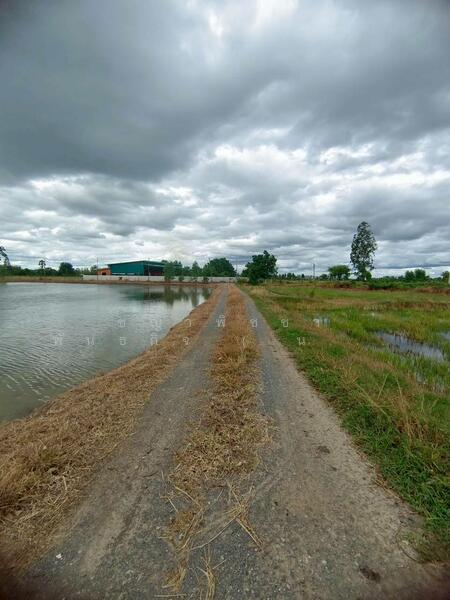 For Sale - ขายที่ดินเปล่า 349 ตร.ว. - ทำเลดี ติดถนนสาธารณะ น้ำ-ไฟพร้อม ต.เขาสามสิบหาบ อ.ท่ามะกา จ.กาญจนบุรี, Kanchanaburi