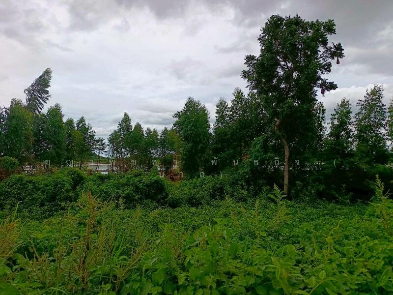 For Sale - ขายที่ดินเปล่า 349 ตร.ว. - ทำเลดี ติดถนนสาธารณะ น้ำ-ไฟพร้อม ต.เขาสามสิบหาบ อ.ท่ามะกา จ.กาญจนบุรี, Kanchanaburi