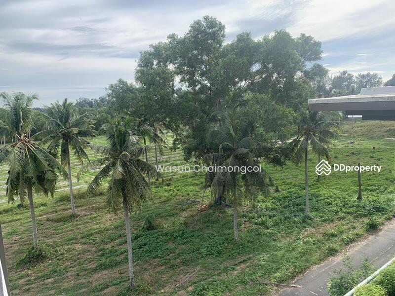 ขาย - Baan Mai Khao : บ้านไม้ขาว ภูเก็ต, ภูเก็ต