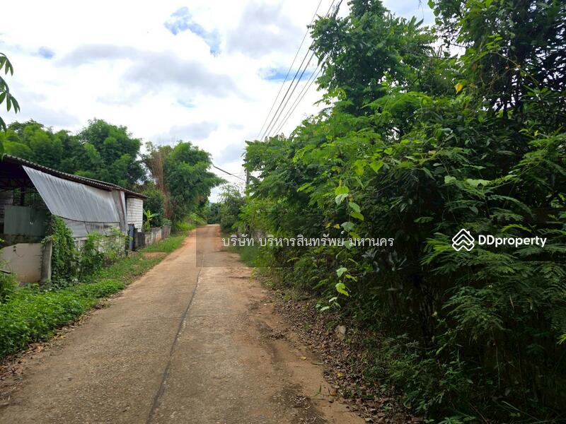 ขาย - โกดัง พร้อมโรงอบลำไย ขนาด 483 ตรว.ต.สบเตี๊ยะ อ.จอมทอง จ.เชียงใหม่, เชียงใหม่